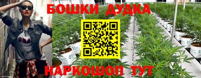 спиды Ставрополь