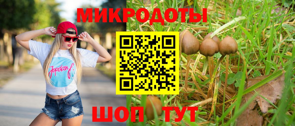 Псилоцибиновые грибы мицелий  Псилоцибиновые грибы прущие грибы  Осинники  Вход с VPN 